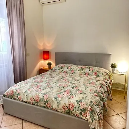 Urban Oasis In Apartman *